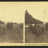 Tree Study, Humphrey's Ledge, No. Conway.