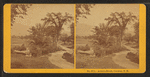 Artist's Brook, Conway, N.H.