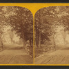 On the Road to Artist's Falls.