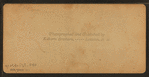 Artist's Brook, Conway, N.H.