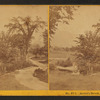 Artist's Brook, Conway, N.H.
