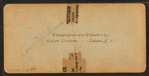 Kiarsarge House, North Conway, N.H.