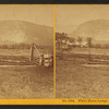 White Horse Ledge, North Conway, N.H.