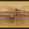 White Horse Ledge, North Conway, N.H.