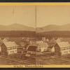 White Mountains.