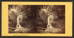 Artist's Fall, No. Conway, N.H.