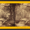 Artist's Falls, No. Conway, N.H.