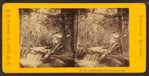 Artist's Falls, No. Conway, N.H.