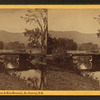 Artist's Brook, Meadows & Mote Mountain, No. Conway, N.H.
