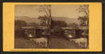 Artist's Brook, Meadows & Mote Mountain, No. Conway, N.H.