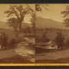 Artists' Brook, and Meadows, North Conway, N.H.