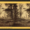 View on the Road from Artist's Fall, No. Conway, N.H.