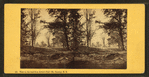 View on the Road from Artist's Fall, No. Conway, N.H.