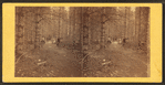 Cathedral Avenue, [North Conway, N.H.]