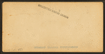 Cathedral Woods, North Conway, N.H.