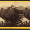 Mt. Kiarsarge, from the Meadows, No. Conway, N.H.