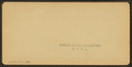 Mt. Kiarsarge, North Conway, N.H.