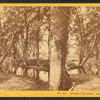 Summer Rambles, North Conway, N.H.