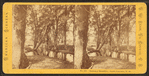 Summer Rambles, North Conway, N.H.