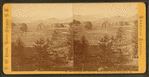 The Meadows and Mt. Washington, North Conway, N.H.
