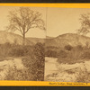 Hart's Ledge, from meadows, N.H.