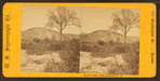 Hart's Ledge, from meadows, N.H.