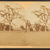 The Intervale, North Conway, N.H.