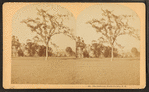 The Intervale, North Conway, N.H.