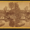 Artists' Brook and Mill, North Conway, N.H.