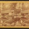 Artists' Brook and Bridge, North Conway, N.H.