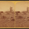 Haymaking and Meadows, North Conway, N.H.