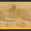 Junction of the Montreal, & Mt. Washington Rail-roads.