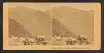 Mt. Jefferson and Mt. Washington Carriage Road.
