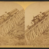 Jacob's Ladder, Mt. Washington Railway.