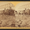 Railway Train, Summit of Mt. Washington.
