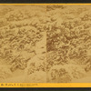 Frost work on Mt. Wash'n., N.H., Sept. 4th., 1872.