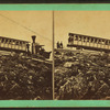 Summit of Mt. Washington and railroad train.