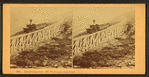 Mt. Washington Railway, near Summit.