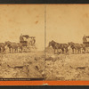 A Mt. Washington carriage, near the Summit N.H.