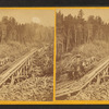 Mt. Washington Railroad, White Mountain, N.H.