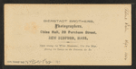 Frost work on Mt. Washington, N.H.