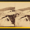 Frost work on Mount Washington, N.H.