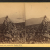 Lissie Bourne's Monument, near Summit, Mt. Wash'n., N.H.