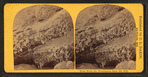 Frost work, Mt. Washington, Sept. 4th, 1872.