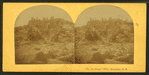 Tip Top House,' White Mountains, N.H.