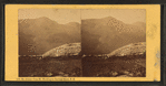 Mt. Adams, from Mt. Washington Carriage Road, N.H.