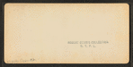 The Half Way House, Mount Washington, N.H.