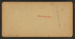 View on the Ledge, Mt. Washington, N.H.