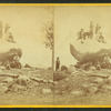 Poised boulder, Lower Bartlett, N.H.
