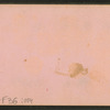 View of a family in Laconia, N.H.